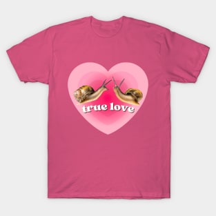 Pink Heart Two Snails in True Love. Funny Weird Gift for Snail Lovers T-Shirt